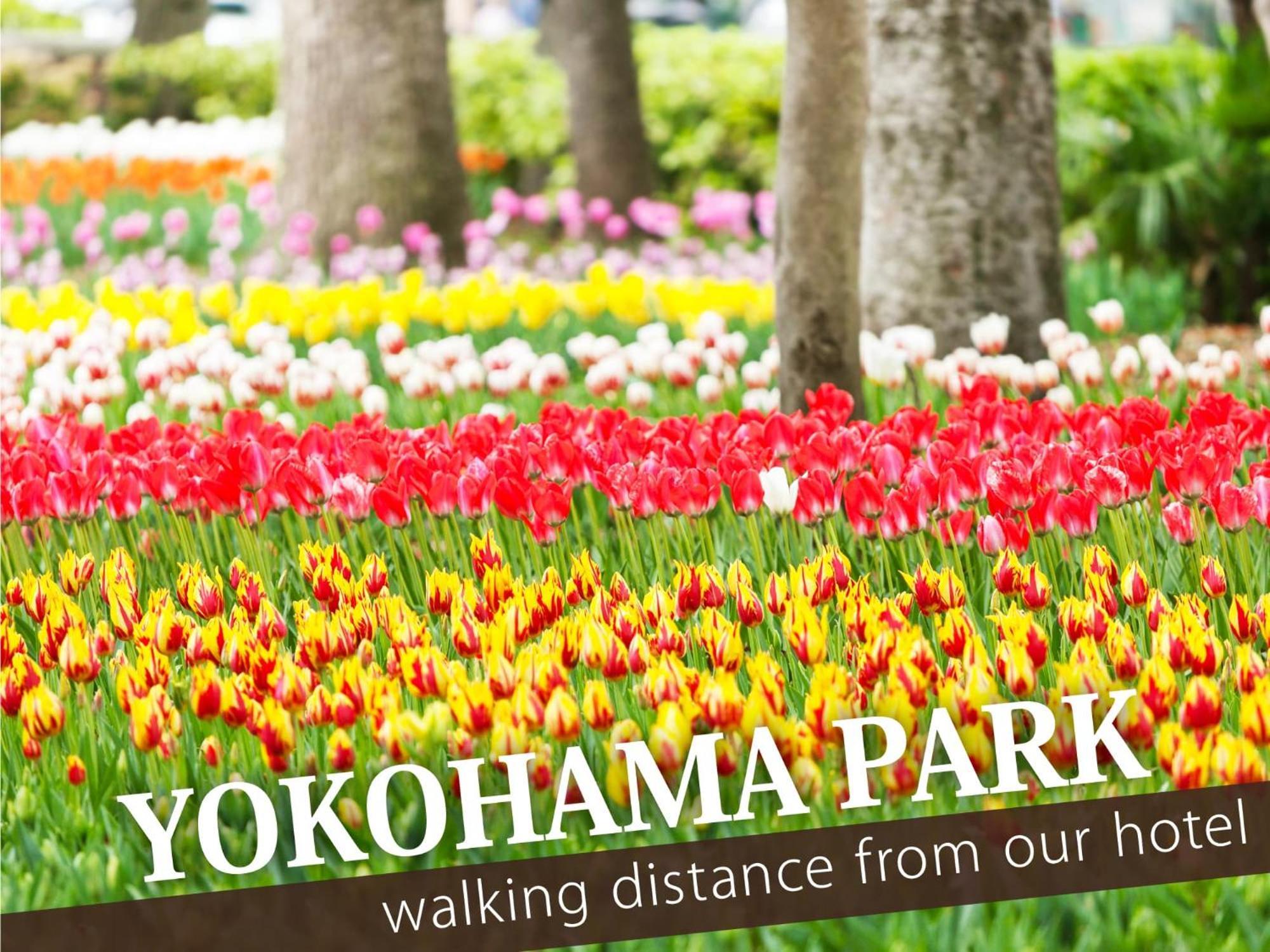 Hotel Balibali 伊勢佐木 Yokohama  Luaran gambar