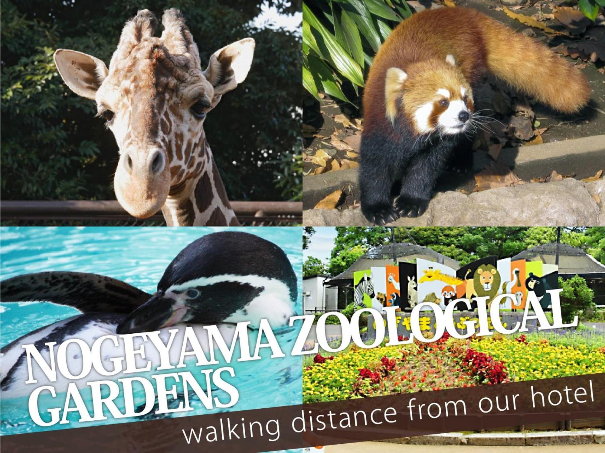 Hotel Balibali 伊勢佐木 Yokohama  Luaran gambar